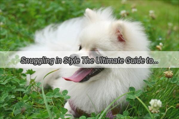 Snuggling in Style The Ultimate Guide to Dog Bedding for Cozy Nights